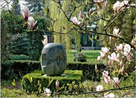 Amen met magnolia